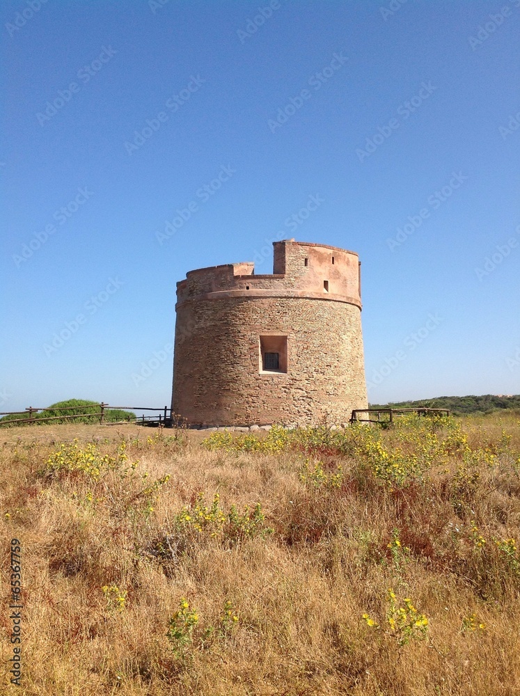 Riserva naturale di Tor Caldara - Anzio - Roma - Lazio