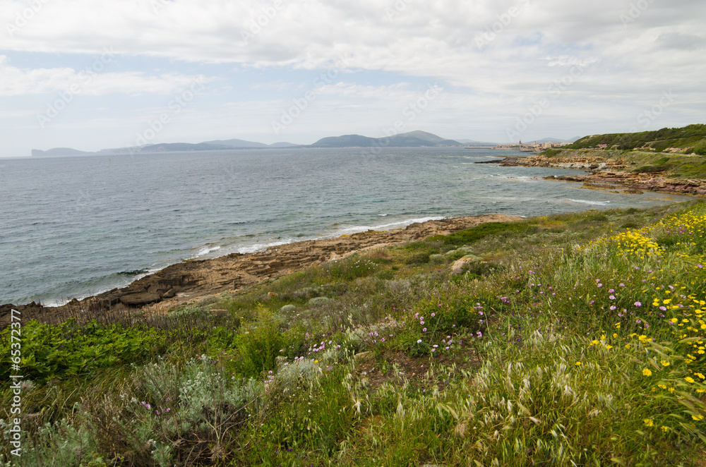 Coast of Alghero, Sardinia Island, Italy Coast of Alghero, Sardinia Island, Italy