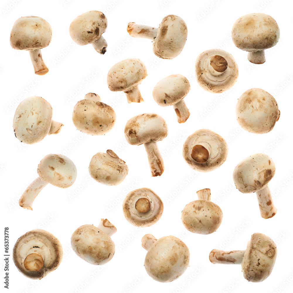 Set of champignon mushrooms Set of champignon mushrooms