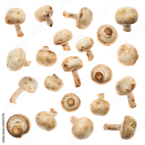 Set of champignon mushrooms