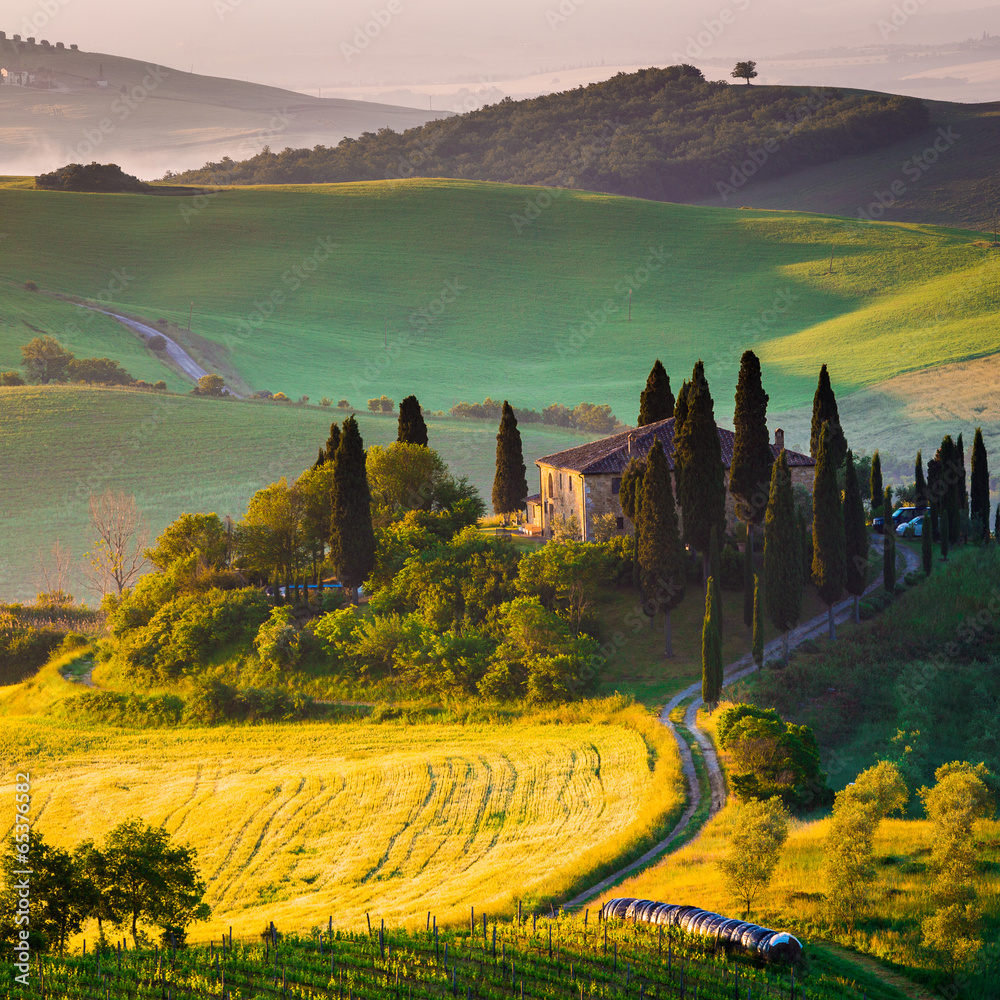 Toscana, mattino in Val d' Orcia - obrazy, fototapety, plakaty 