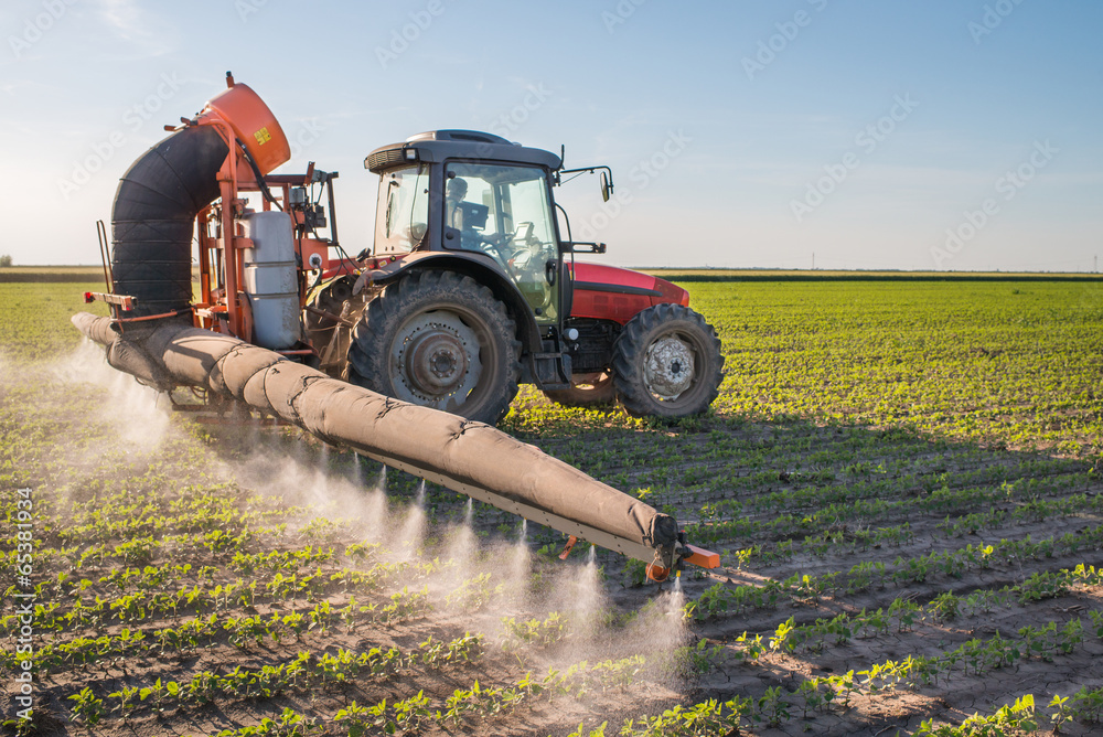 Fototapeta premium tractor spraying pesticides