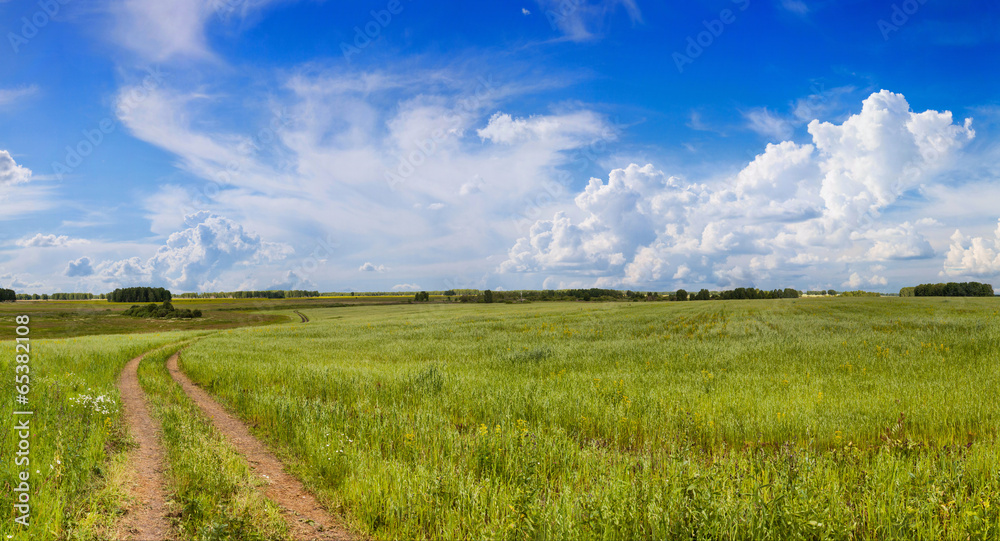 road in a field with green grass road in a field with green grass