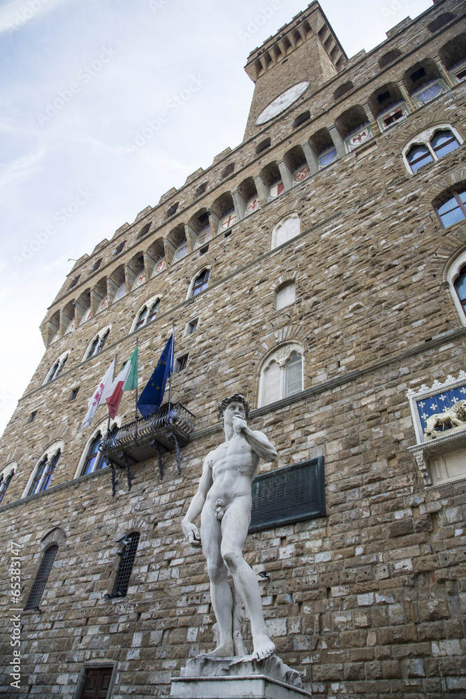 Naklejka premium Firenze - Piazza della Signoria