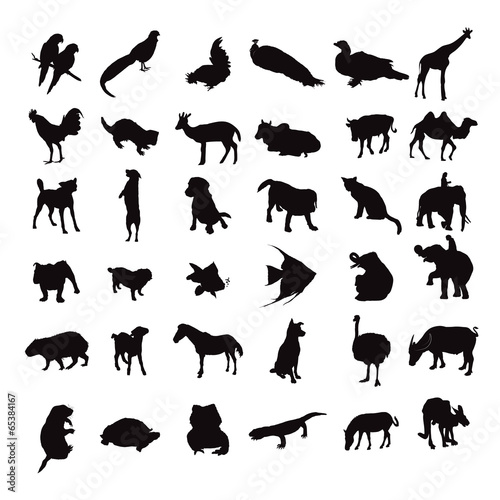 Fototapeta Naklejka Na Ścianę i Meble -  silhouette set of animals