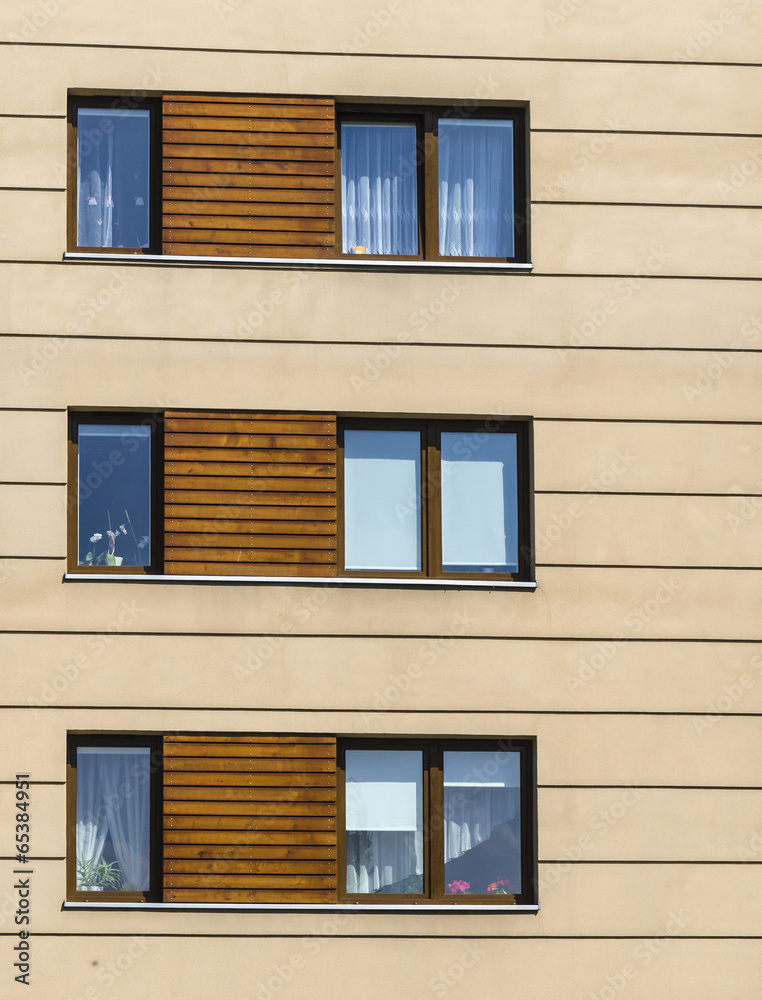 Modern apartment with wooden facade
