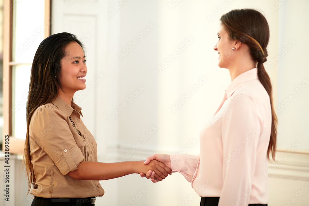 Two professional females giving hands greeting Two professional females giving hands greeting