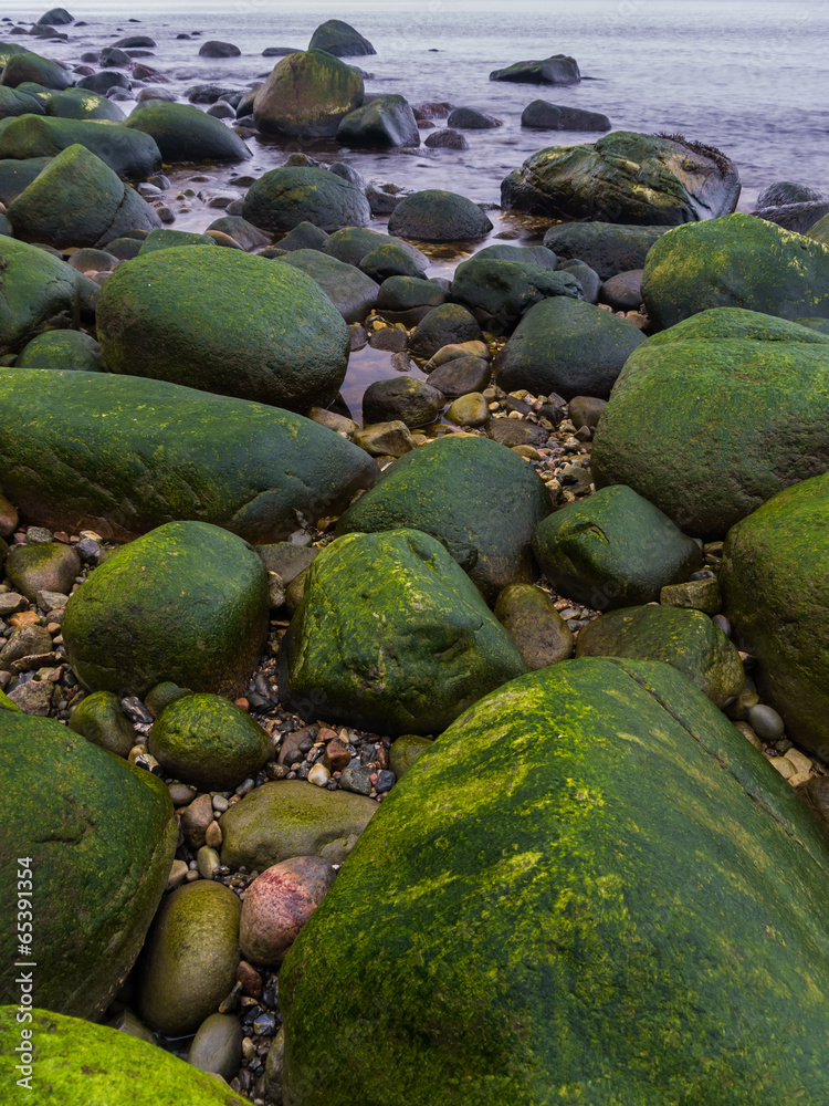 Grüne Felsen an der Küste Rügens