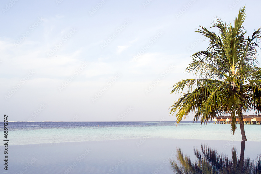 Amazing infinity pool in Maldives