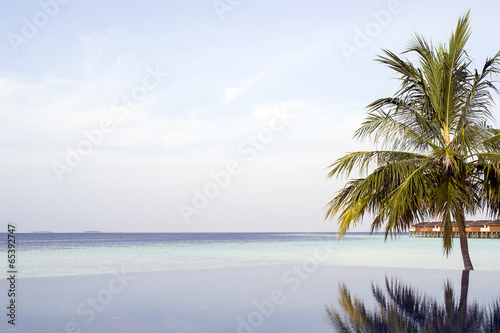 Fototapeta Naklejka Na Ścianę i Meble -  Amazing infinity pool in Maldives