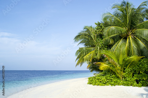 Beautiful palm beach in Maldives