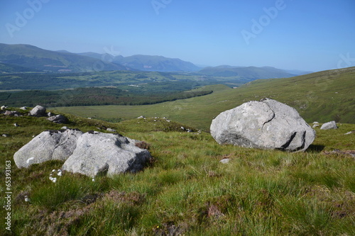 Nature around Ben Nevis, Highlands, Scotland