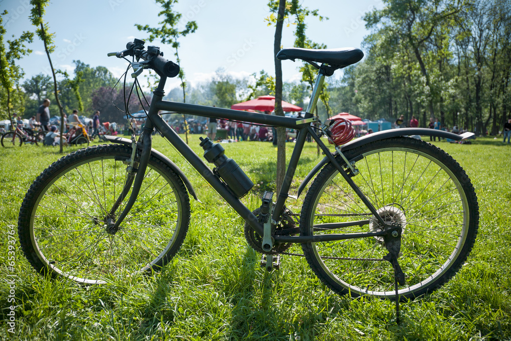 Bike on the green field