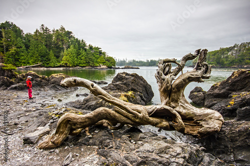 Vancouver Island © Lukas Uher