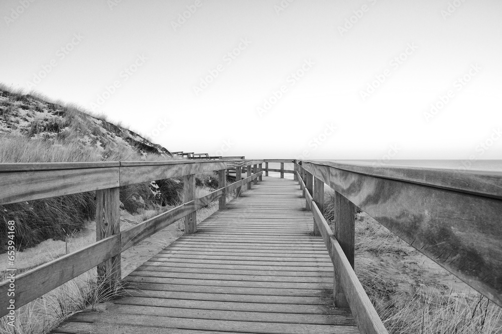 Wooden dune walkway BW LT
