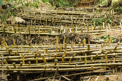 Dam to slow down the flow of water,to protect forests and preser