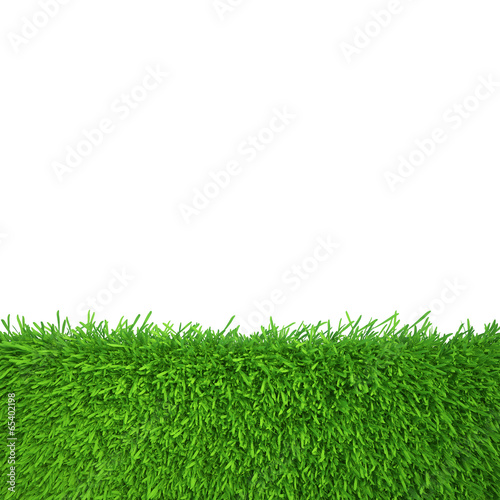 green grass