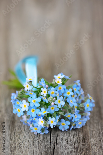 Forget-me-not