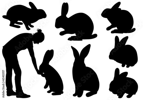 Set of different rabbits isolated on white