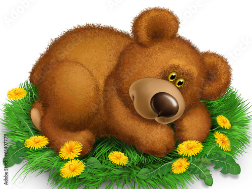 Bear on the grass