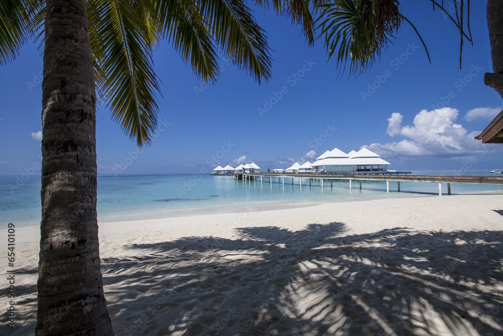 beach in the Maldives beach in the Maldives
