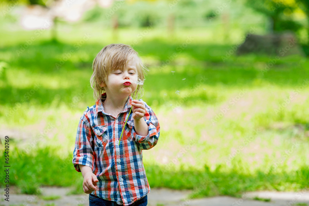 Adorable kid blowing the seeds from a dandelion Adorable kid blowing the seeds from a dandelion