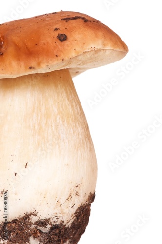 Dirty mushroom