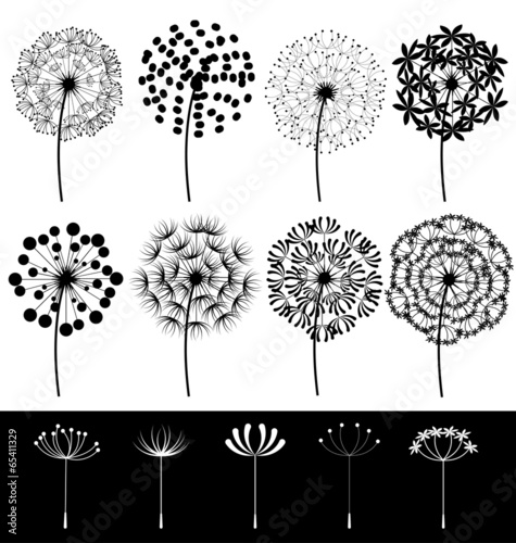 Dandelions set vector
