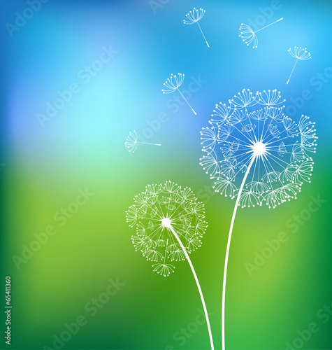 Dandelionsn in meadow spring vector