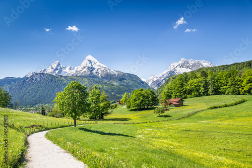 Obraz na płótnie Idyllic summer landscape in the Alps w salonie