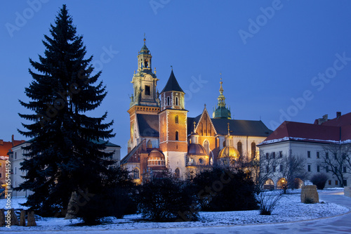 Cracow - Royal Cathedral - Wawel Hill - Poland