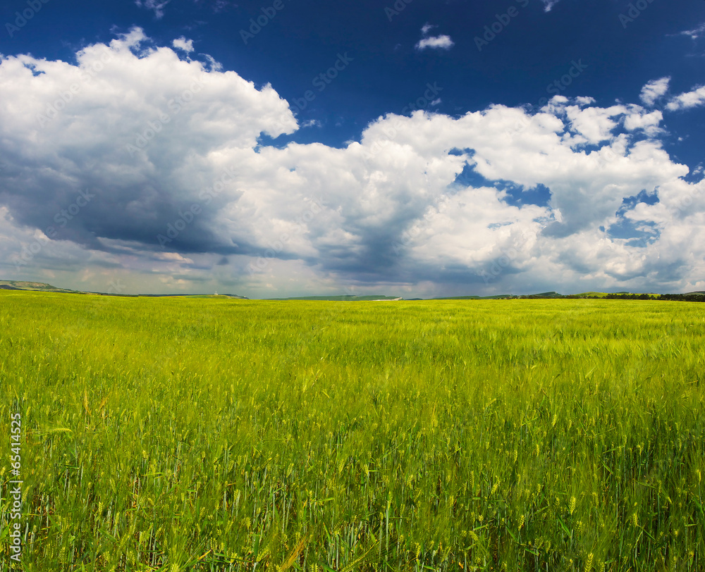 Green field in mountain valley. Beautiful summer landscape Green field in mountain valley. Beautiful summer landscape