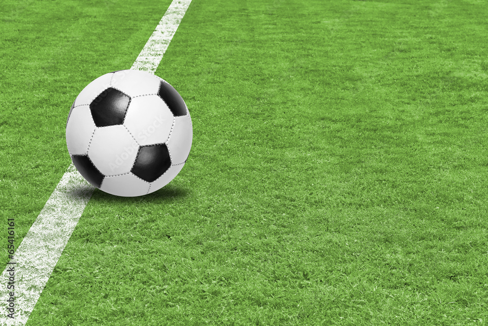 Soccer - Background Lawn - obrazy, fototapety, plakaty 