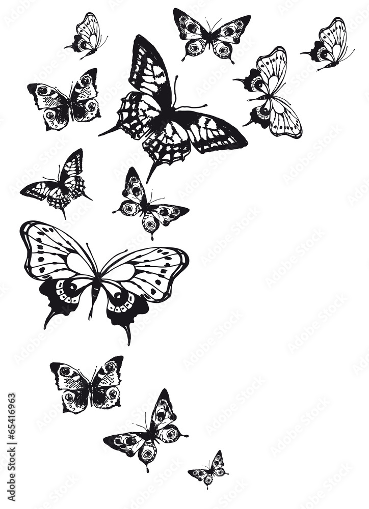 Obraz premium butterflies design