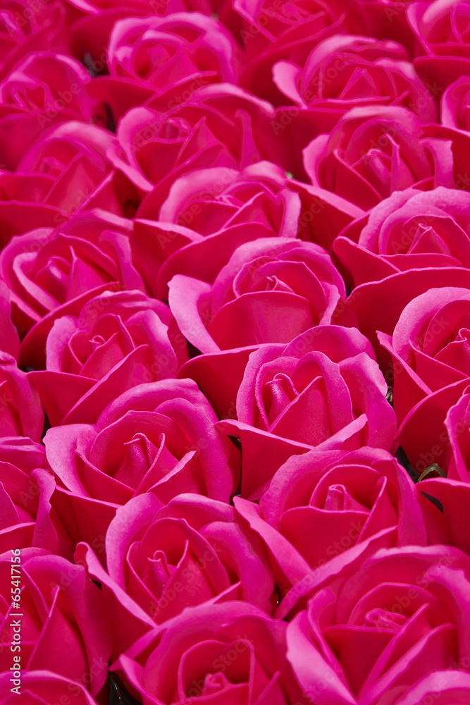 Obraz premium roses
