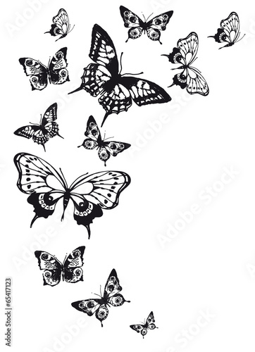 butterflies design