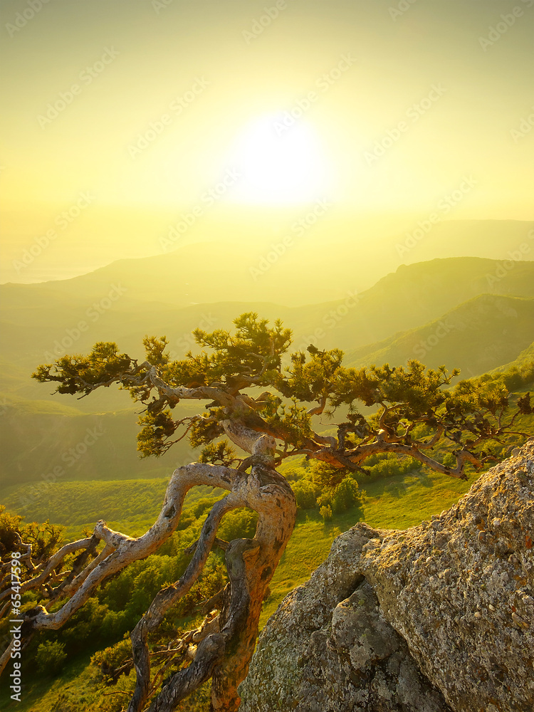Obraz premium Mountain landscape during sunrise in summer time
