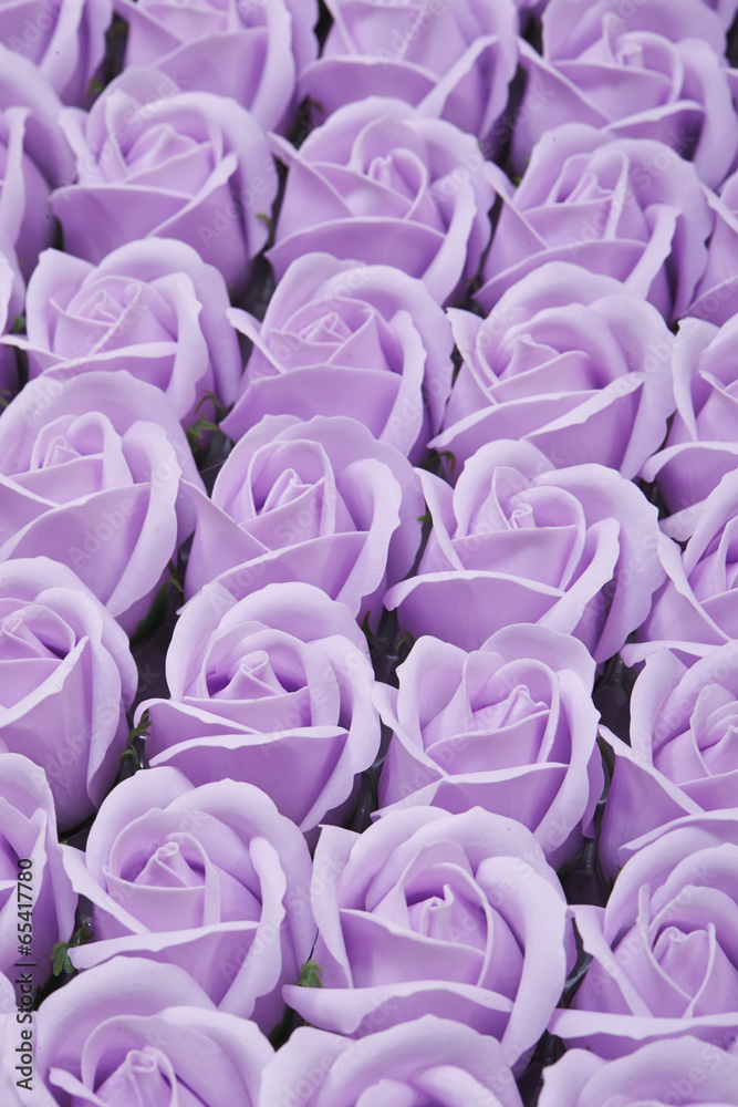 Obraz premium roses