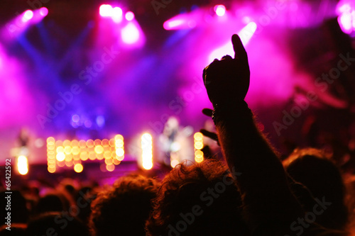 people on a party/concert photo