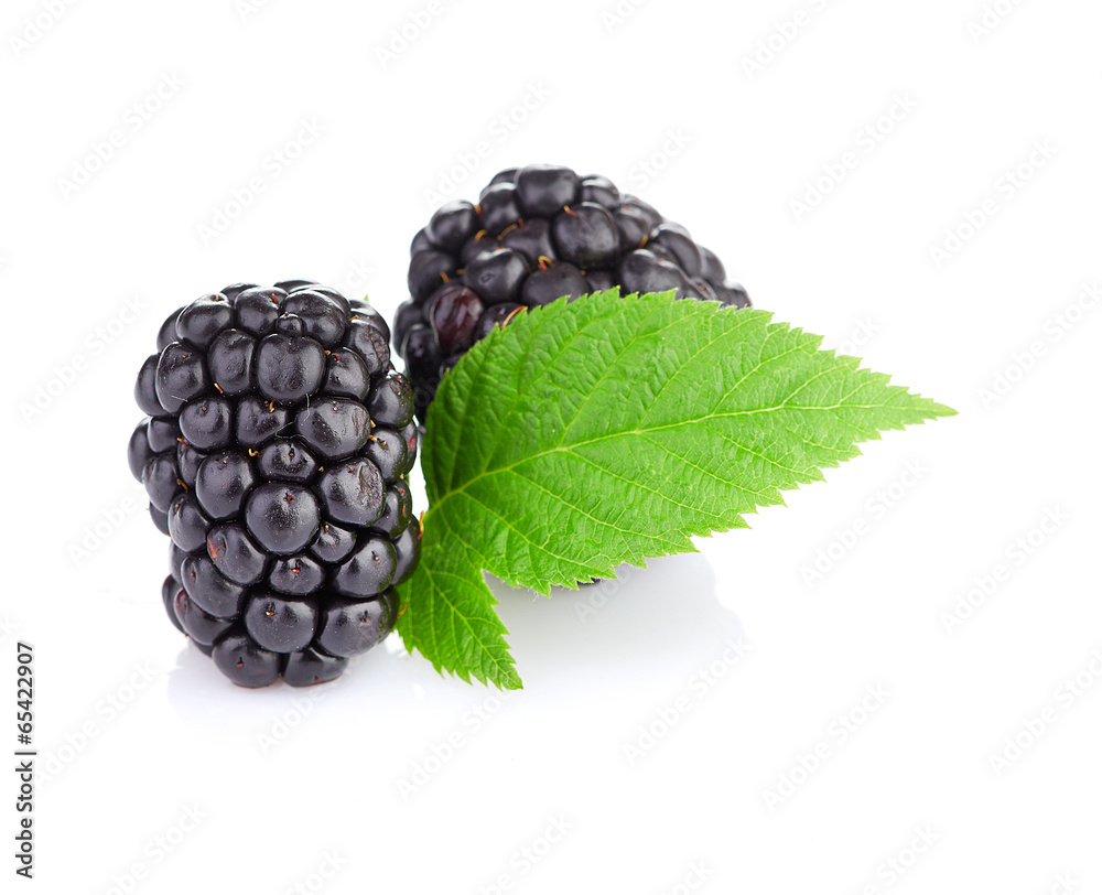blackberry isolated on white blackberry isolated on white