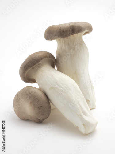 Eryngii mushrooms