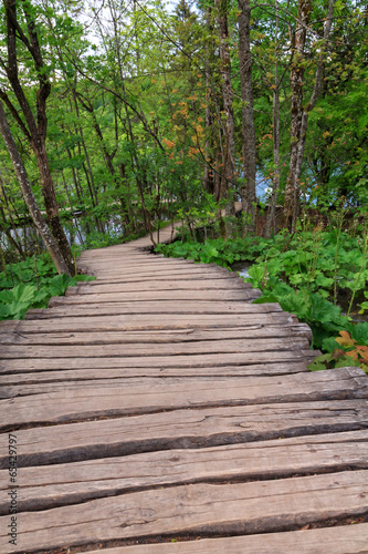 Wood path in the Plitvice Lake