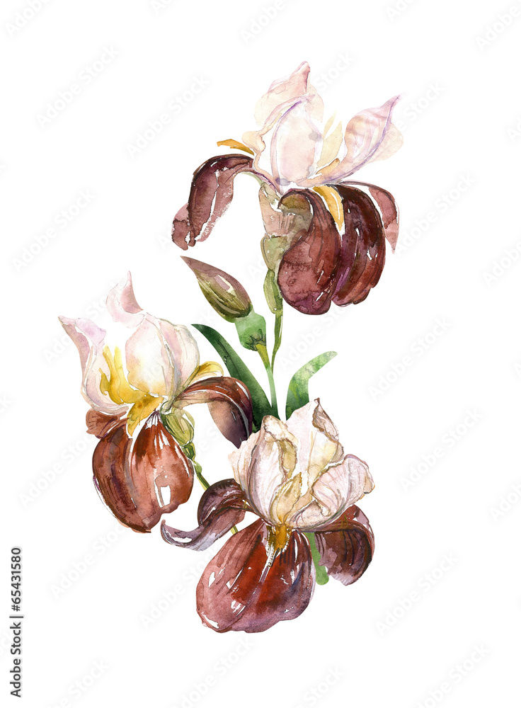 Naklejka premium Irises