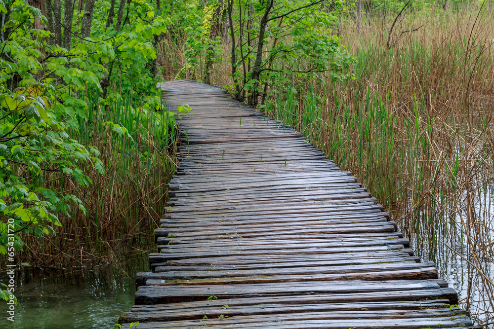 Obraz premium Wood path in the Plitvice Lake
