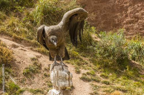 andean condor spreading wings © drmonochrome