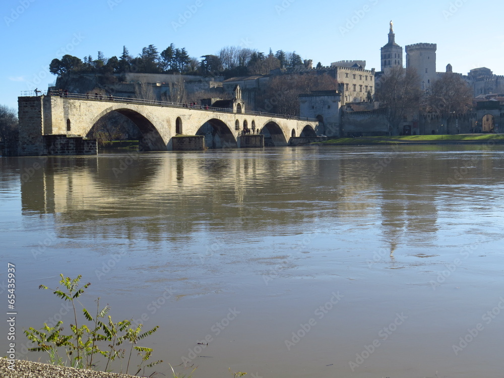 Naklejka premium Vue panoramique sur Avignon, le Palais des Papes et le Pont