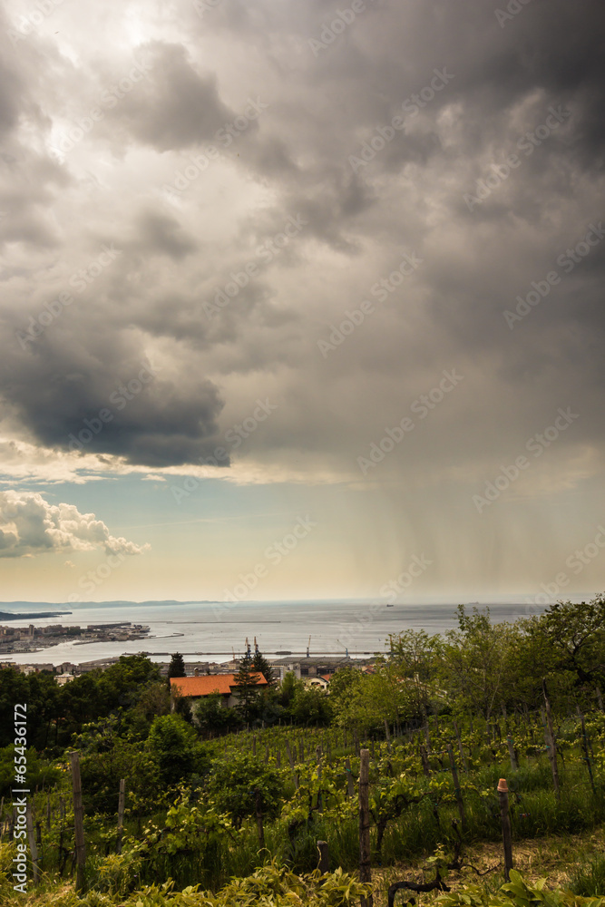 Fototapeta premium rain is coming