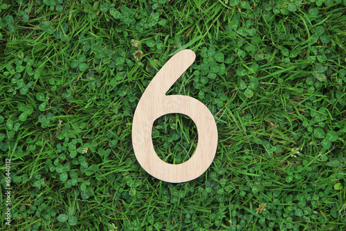 wooden number 6 on grass and clover background photo