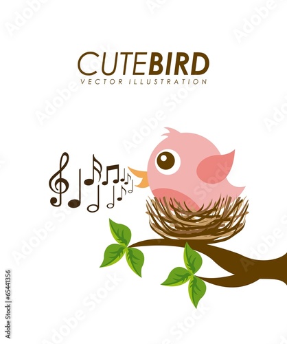 Bird design