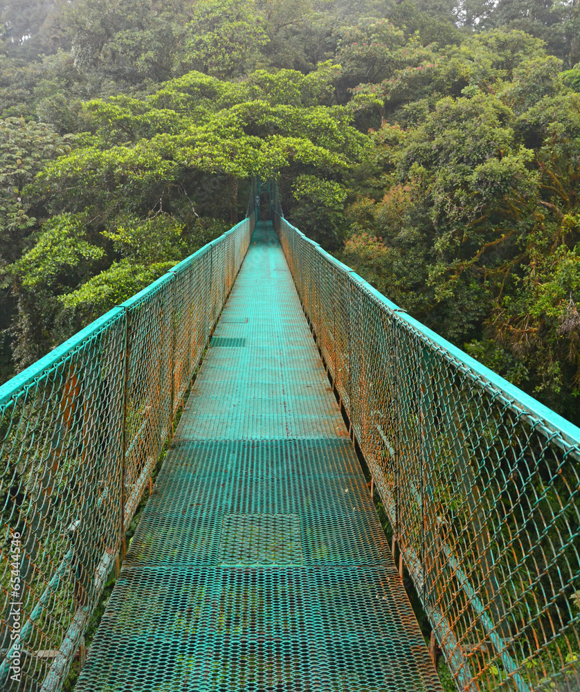 Obraz premium Forêt nuageuse de Monteverde